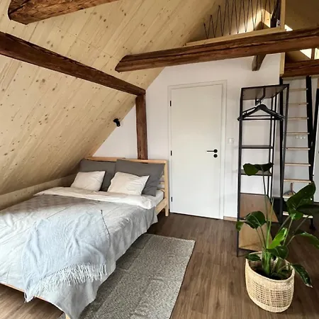 Apartment Sanky Liberec